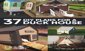 Maybe you would like to learn more about one of these? 37 Free Diy Duck House Coop Plans Ideas That You Can Easily Build