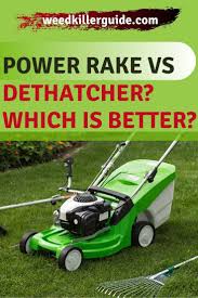 Not only will you be helping your lawn, you'll get a workout too. Power Rake Vs Dethatcher What Is The Difference Lawn Care Business Lawn Care Tips Gardening Tool Kit