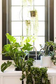 Bottom Watering Your Plants Ever Heard Of It Plants House Plants Decor Water Plants