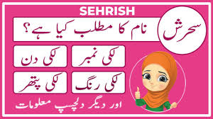 Cyber crime dilemma is possible to guarantee both security and privacy. Sehrish Name Meaning In Urdu Sehrish Naam Ka Matlab Kya Hai Ø³Ø­Ø±Ø´ Amal Info Tv Youtube