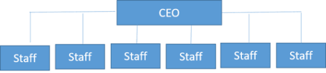 We did not find results for: Flat Organizational Structure Cio Wiki