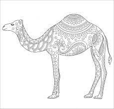 Maybe you would like to learn more about one of these? Mandalas Camel Coloring Page For Adult Coloringbay