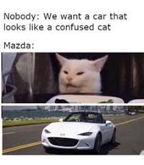 Funny pictures and memes of dogs doing and implying things. 100 Caturday Ideas In 2021 Cat Memes Caturday Funny Cats