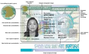 A 10 year green card is provided to permanent residents as proof of their immigration status. Green Card I 551 Card Pageseptitle Orlando Immigration Lawyer