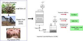 Proximate and ultimate analyses were conducted to determine the physical and chemical properties of empty fruit bunch. Solid State Co Fermentation As Pretreatment Of Lignocellulosic Palm Empty Fruit Bunch For Organic Acid Recovery And Fiber Property Improvement Sciencedirect