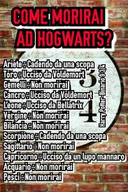 La Casualita Cadendodaunascopa Vediamo Voi Crediti Per L Idea Hermione Segni Zodiacali Oroscopo Harry Potter Divertente