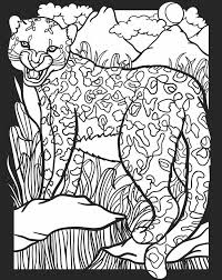 We have collected 36+ nocturnal animals coloring page images of various designs for you to color. Welcome To Dover Publications Animal Coloring Pages Coloring Pages Coloring Pictures