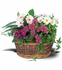 ARON BUSH Obituary (2018)