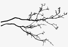 Maybe you would like to learn more about one of these? Tree Branch Png Tree Branch With Leaves Silhouette Png Transparent Png 850x551 Free Download On Nicepng