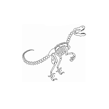 coloriage dinosaure squelette a imprimer gratuit noel feuille de arc-en-ciel avec des mots couleur