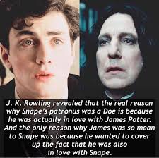Sirius being serious 😂 I I am Black No, No,lamblack I am black. You are  white. No Nolam I am Black Are you kidding me? No No,lamserious! I am  serious!