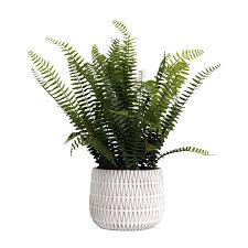 Shop nearly natural at wayfair for a vast selection and the best prices online. Nearly Natural Artificial Plants Flowers At Lowes Com