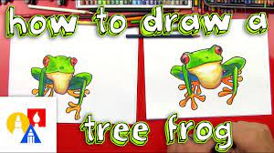 In general, tree frogs are about 1 to 5 inches and weigh less than an ounce. How To Draw A Tree Frog Youtube