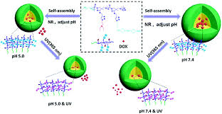 Metal detector mki metal detector mkii. The Light Controlling Of Temperature Responsivity In Stimuli Responsive Polymers Polymer Chemistry Rsc Publishing Doi 10 1039 C9py00890j