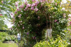 Nach gesprächen mit dem land und dem landkreis uelzen, dürfen die gärten unter einhaltung der abstands und hygienemaßnahmen öffnen. Offene Gartenpforte Thema