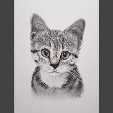 Drawing Of A Cute Baby Cat I Finished Today Aww