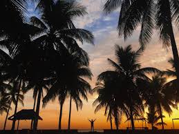 Maybe you would like to learn more about one of these? 20 Destinasi Wisata Di Makassar Dan Sekitarnya Yang Kece Badai