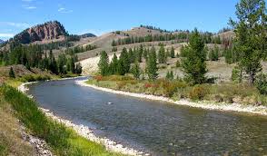 Rivers and streams are often considered major features within a landscape; Rivers Saved Thanks To You American Rivers