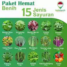 Demikian artikel tentang 9 jenis sayuran berdasarkan bagian yang bisa dimakan. Cod Bibit Sayuran Paket Bibit Benih 15 Jenis Sayur Bibit Sayuran Kol Bibit Sayuran Benih Bibit Sayuran Pare Bibit Sayuran Lenca Bibit Sayuran Sawi Bibit Sayuran Bayam Best Seller59 Lazada Indonesia