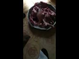 مطعم المخواه يبيع لحم كلاب Youtube