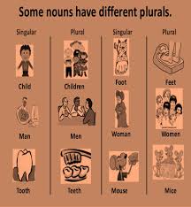 Check spelling or type a new query. Class 3 Singular Plural And One Word Substitution English Square