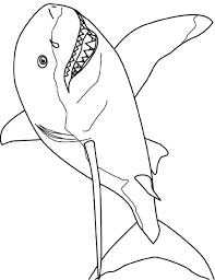 Learn about famous firsts in october with these free october printables. Drawing 3 From Sharks Coloring Page