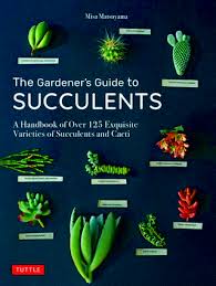 Extra info for the gardener's guide to cactus: Gardener S Guide To Succulents The A Handbook Of Over 125 Exquisite Varieties Of Succulents And Cacti Gleebooks Com Au