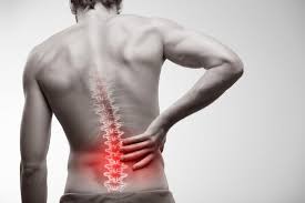 Your back consists of three distinct layers of muscles, namely the superficial layer. What Is Rhizotomy And How Can It Help Relieve Back Pain The Spine Center Of Baton Rouge Orthopaedic Spine Surgeons