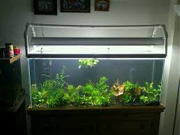 Pin En Aquarium Stuff