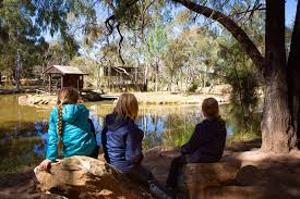 There are now 1 coupon code, 12 deal, and 1 free shipping promo. 5 Tips To Make The Most Of Your Visit To Taronga Western Plains Zoo Travel With Meraki