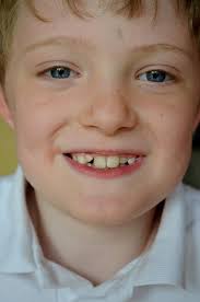 The Greystones Guide