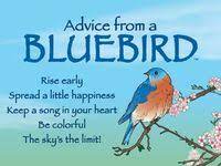 Bluebird Quotes