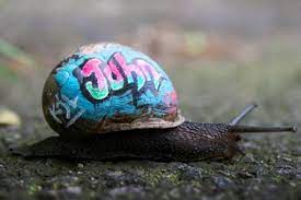 I Love How Someone Actually Took The Time And Effort To Graffiti On This Snail Graffiti Snail Street Art Graffiti