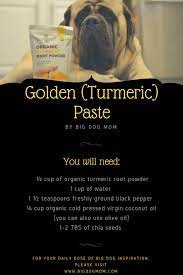 Pin On Cbd For Pets