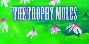 The Trophy Mules
