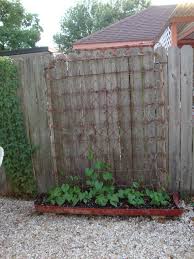 Flowering container gardens are to the landscape what throw pillows are to interior decor: 14 Everyday Things That You Can Reuse For Your Garden In 2021 Backyard Garden Layout Backyard Garden Garden Boxes Diy