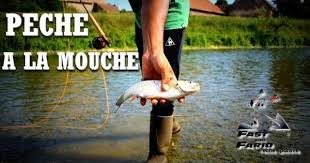 Peche A La Mouche La Chance Du Debutant Chance Debutant Mouche Peche A La Mouche Peche Mouches