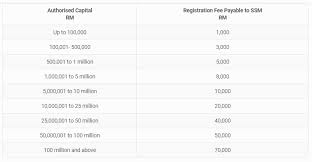 Malaysia business visa for foreigners / expatriates & malaysian business visa for company directors. Authorized Capital Paid Up Capital