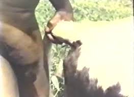 Men fucks cows - compilation of zoo porno