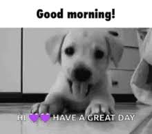 # good morning # great # good day # happy day # great day. Have A Good Day Gifs Tenor