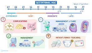 Image result for Preterm Infant Growth