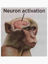Neuron Activation Magnet