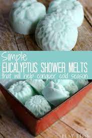 Simple Eucalyptus Shower Melts That Will Help Conquer Cold Season Busy Bliss Eucalyptus Shower Diy Shower Shower Steamers Diy