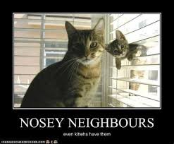 Nosey Neighbor Memes