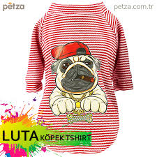 Petza Www Petza Com Tr Panosundaki Pin