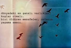 Mesafeler Google Da Ara Guzel Soz Alinti Sozler Ozlu Sozler