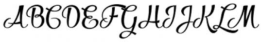 Emil bertell copyright (c) 2012 by emil bertell. Salamander Script Bold Font What Font Is