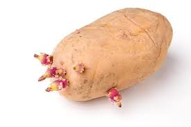 Hier Sind Die 10 Todlichsten Lebensmittel Die Du Regelmassig Konsumierst In 2020 Lebensmittel Blitzdiat Spitzkohl