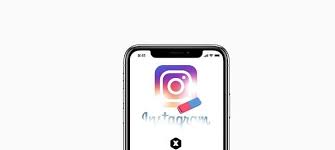 How To Erase Instagram On Ios Device In Efficient Way Party Apps Iphone Instagram