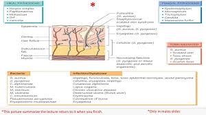 1 Skin And Soft Tissue Infections Ppt Download It can be caused by two different types of bacteria: 1 skin and soft tissue infections ppt